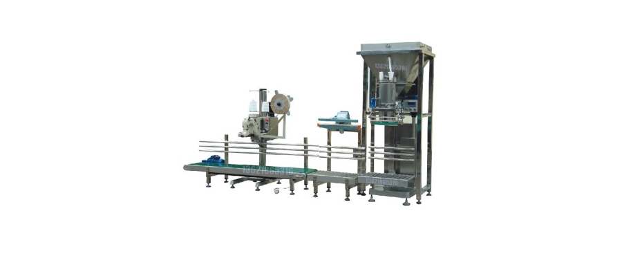 Automatic Bag Feeding Packaging Machine: Pre-Made Pouch Packaging Solution for Full-Automated Production